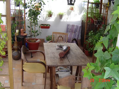 DSC00495.jpg