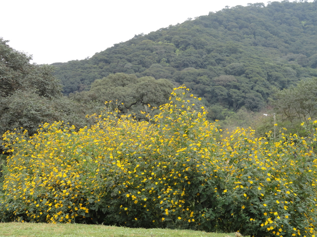 DSC005021.jpg