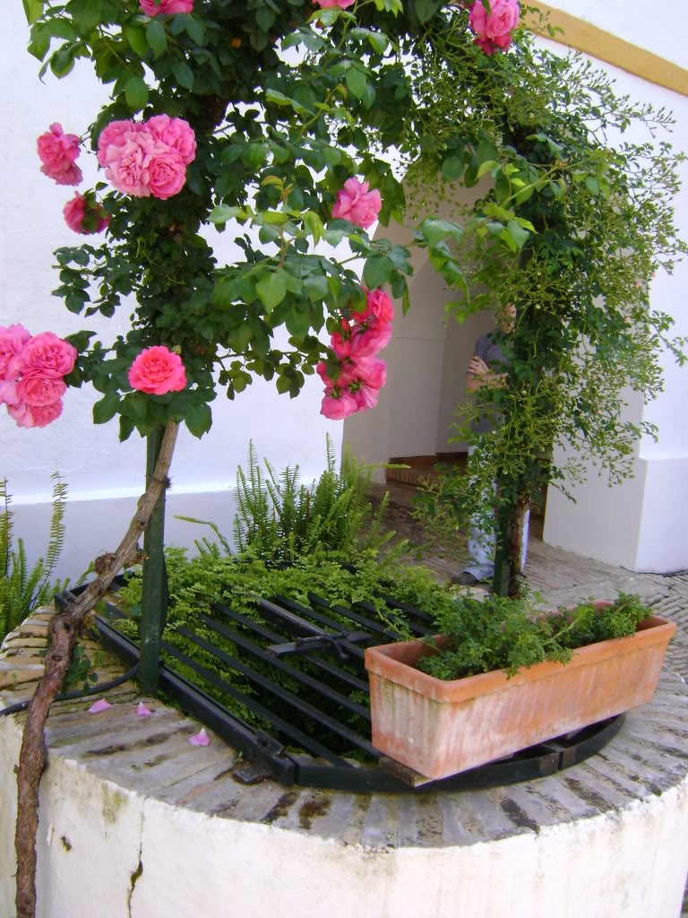 DSC00504.jpg