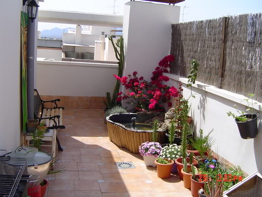 DSC00504.jpg