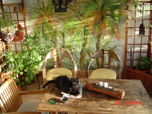 DSC00508.jpg