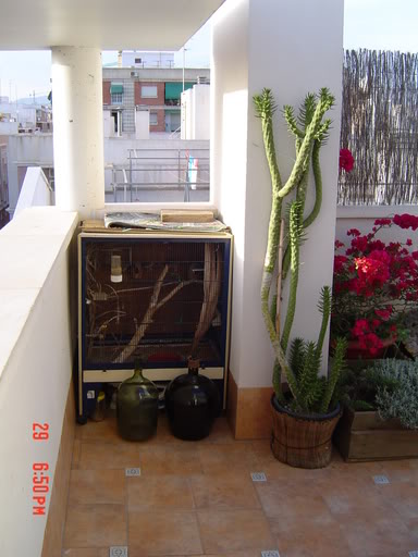 DSC00510.jpg