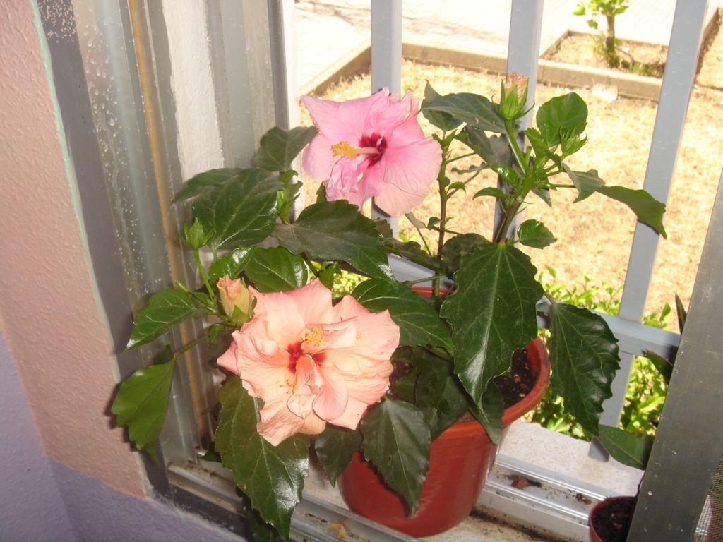 DSC00513%7E0.jpg