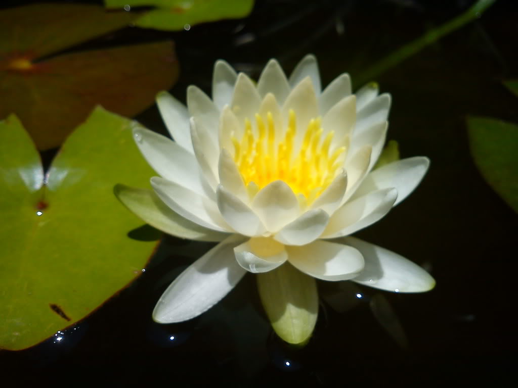 DSC00513.jpg