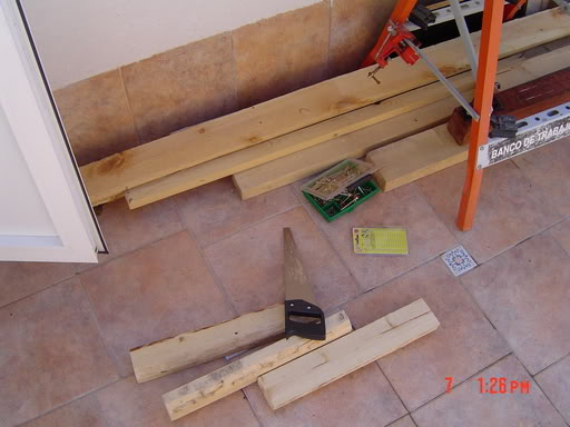 DSC00527.jpg