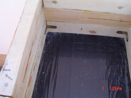 DSC00529.jpg