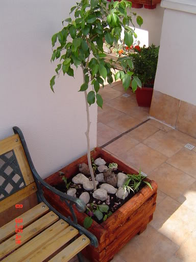 DSC00534.jpg