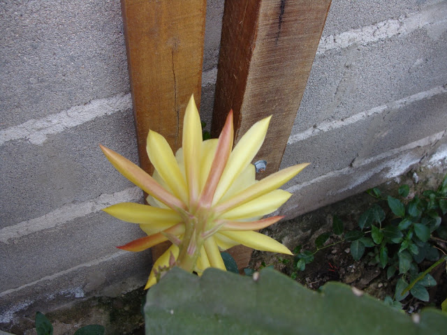 DSC00546.JPG