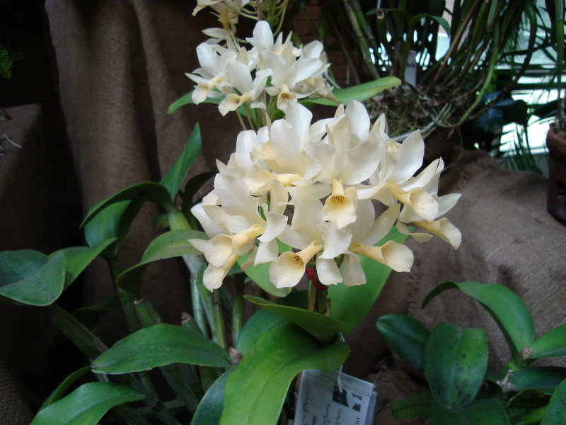 DSC00552.jpg