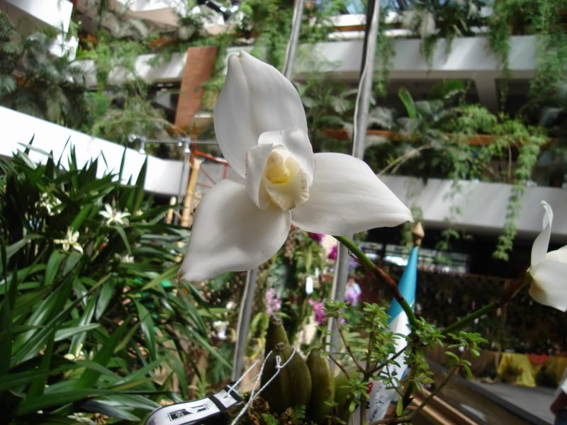DSC00553.jpg