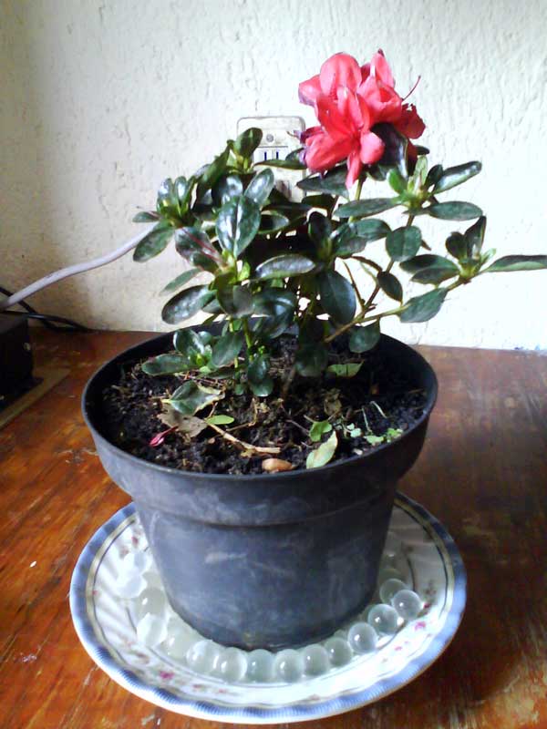 DSC00565.jpg
