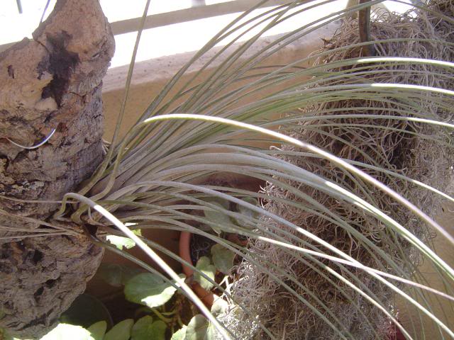 DSC00565.jpg