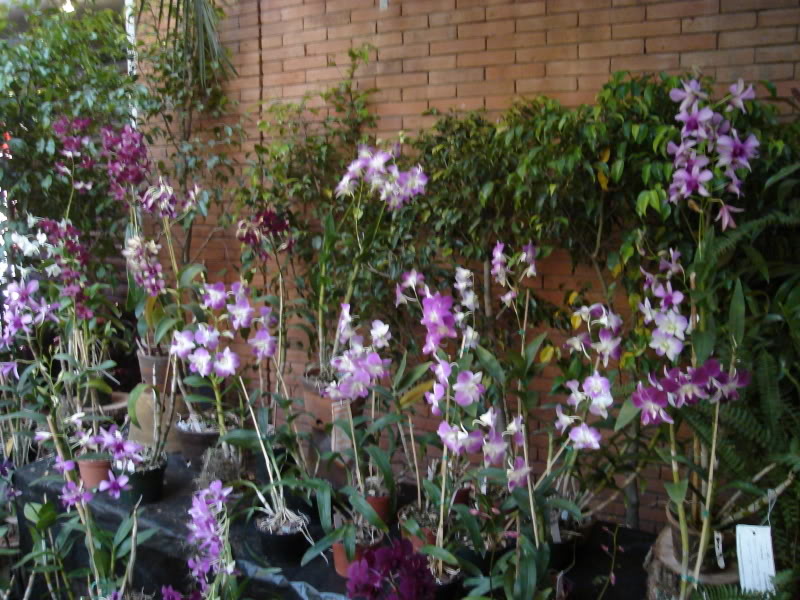 DSC00566.jpg