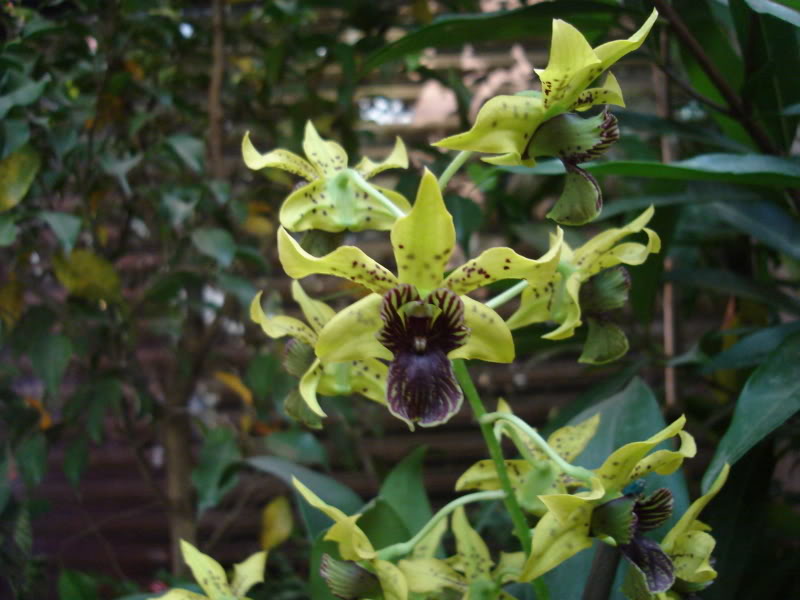 DSC00572.jpg