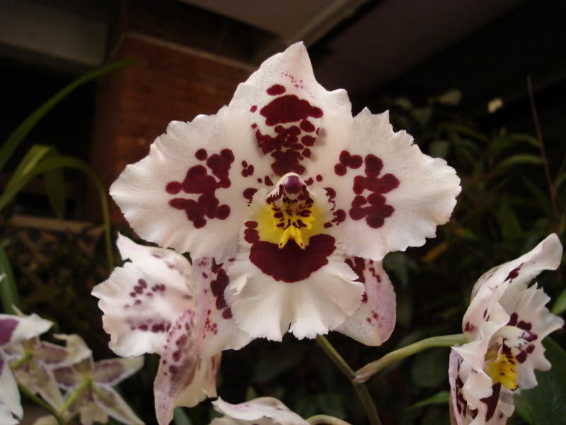 DSC00573.jpg
