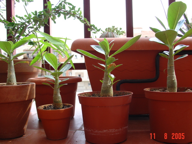 DSC00574.JPG