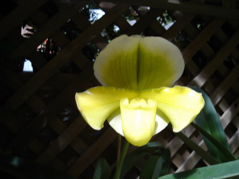 DSC00585.jpg