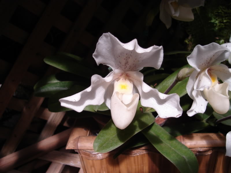 DSC00586.jpg