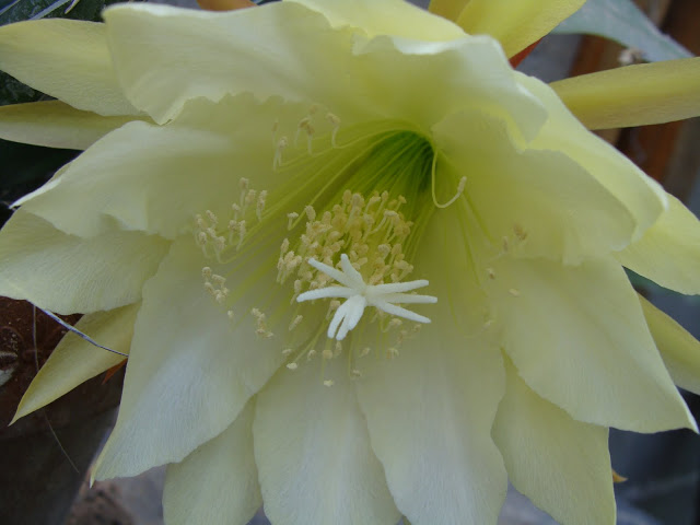 DSC00588.JPG