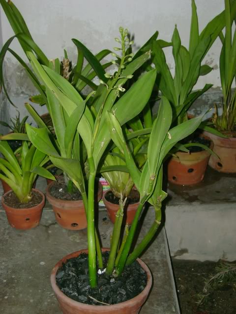 DSC00588.jpg
