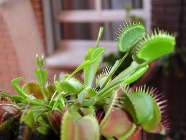 DSC00596%7E0.JPG