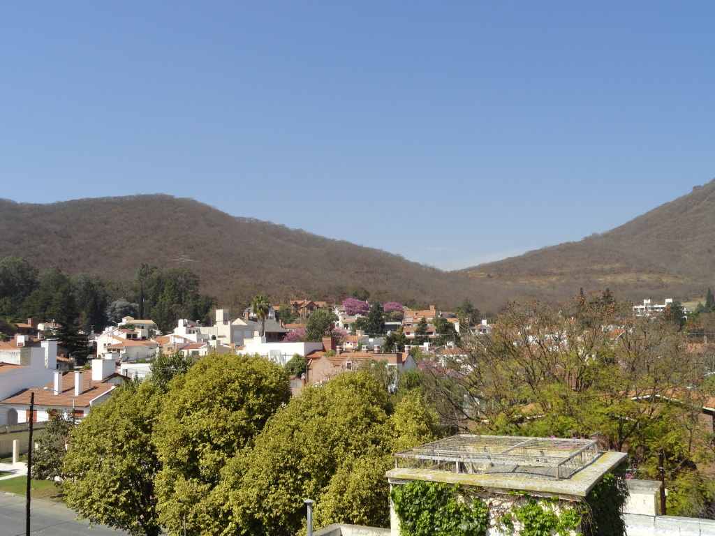 DSC006071.jpg