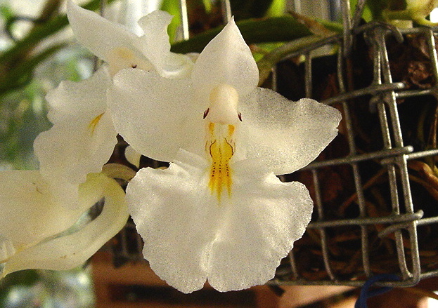 DSC00613_1.JPG