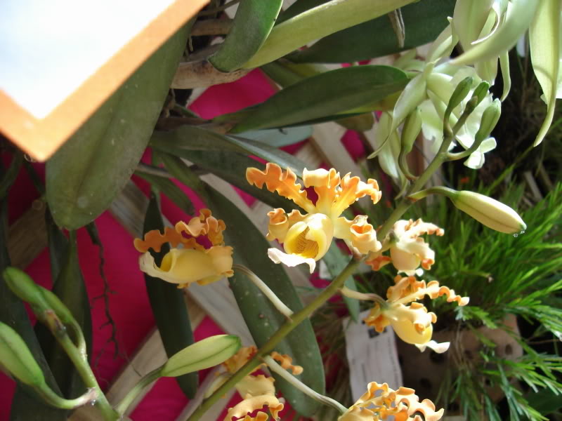 DSC00614.jpg