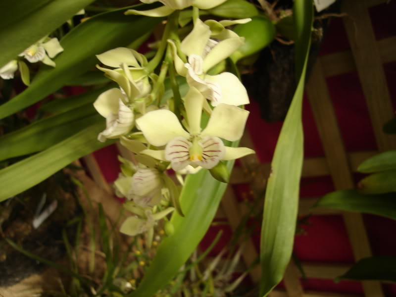 DSC00618.jpg