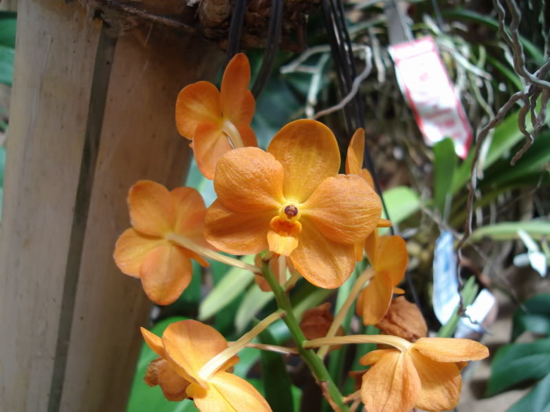 DSC00625.jpg