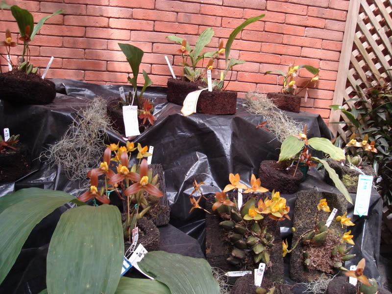 DSC00628.jpg
