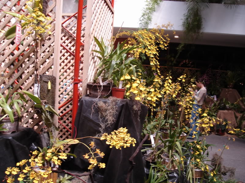 DSC00636.jpg