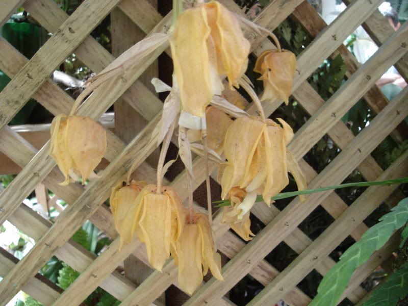 DSC00647.jpg