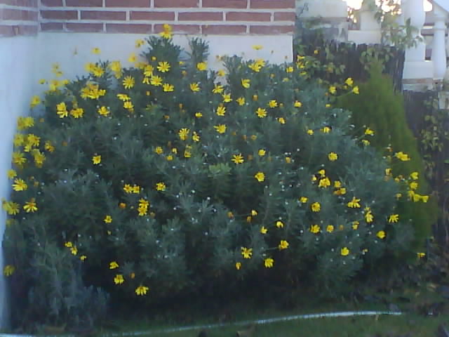 DSC00663.JPG