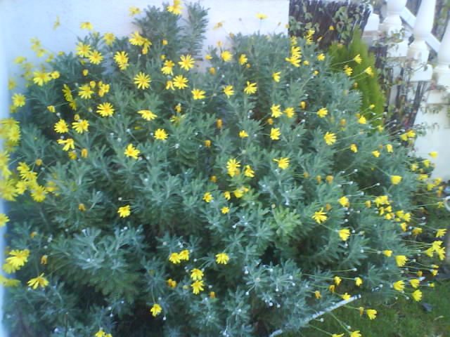 DSC00665.JPG