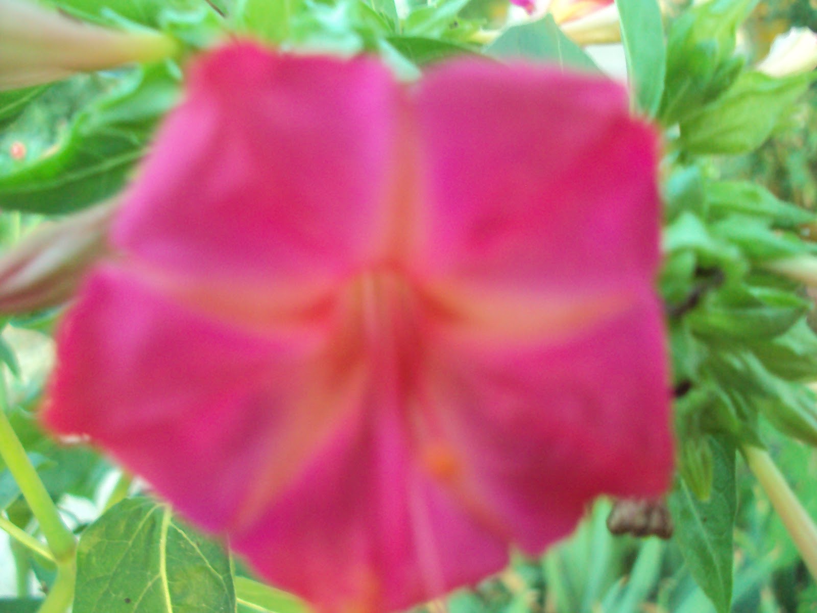 DSC00712.JPG