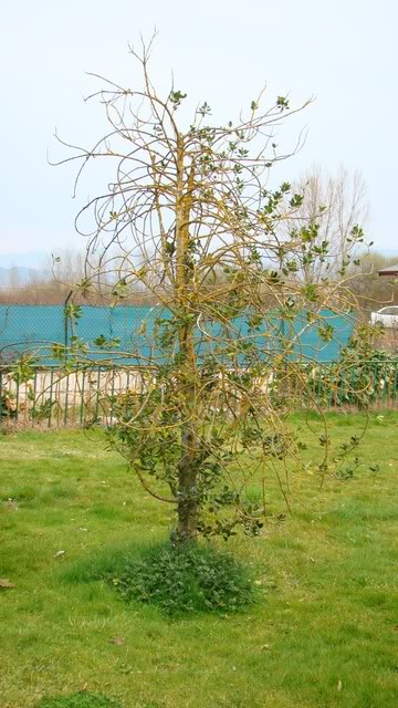 DSC00716.jpg