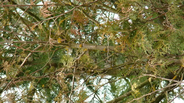 DSC00719.jpg