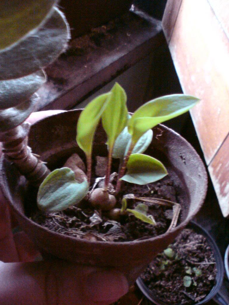 DSC00721.jpg
