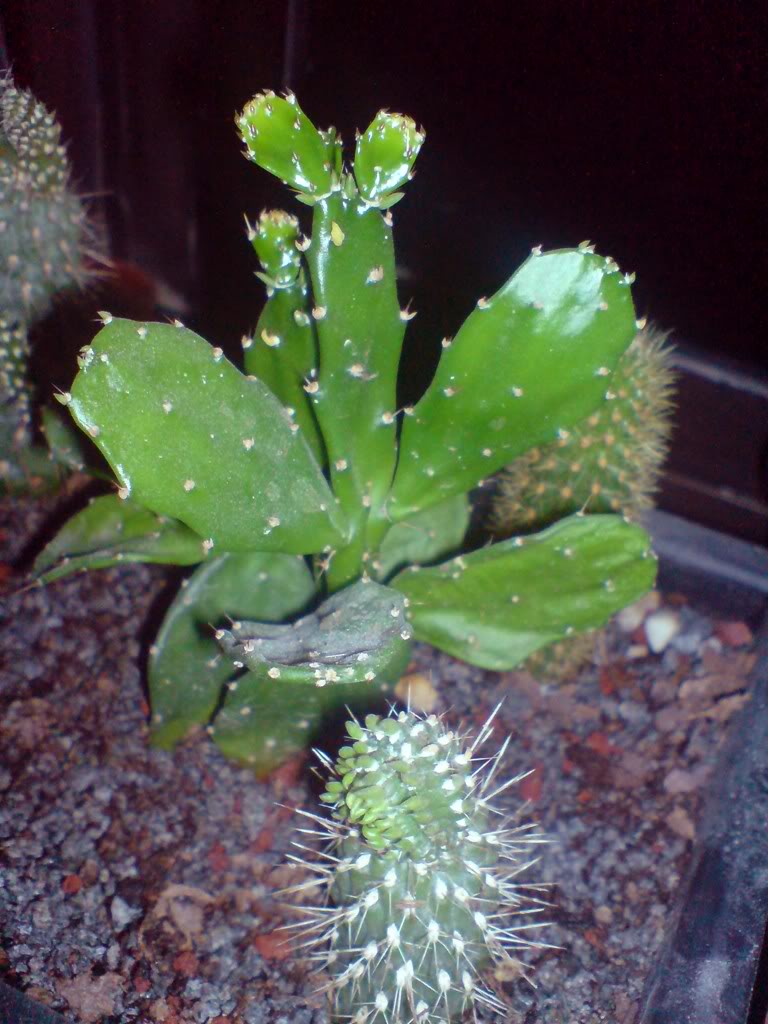 DSC00742.jpg