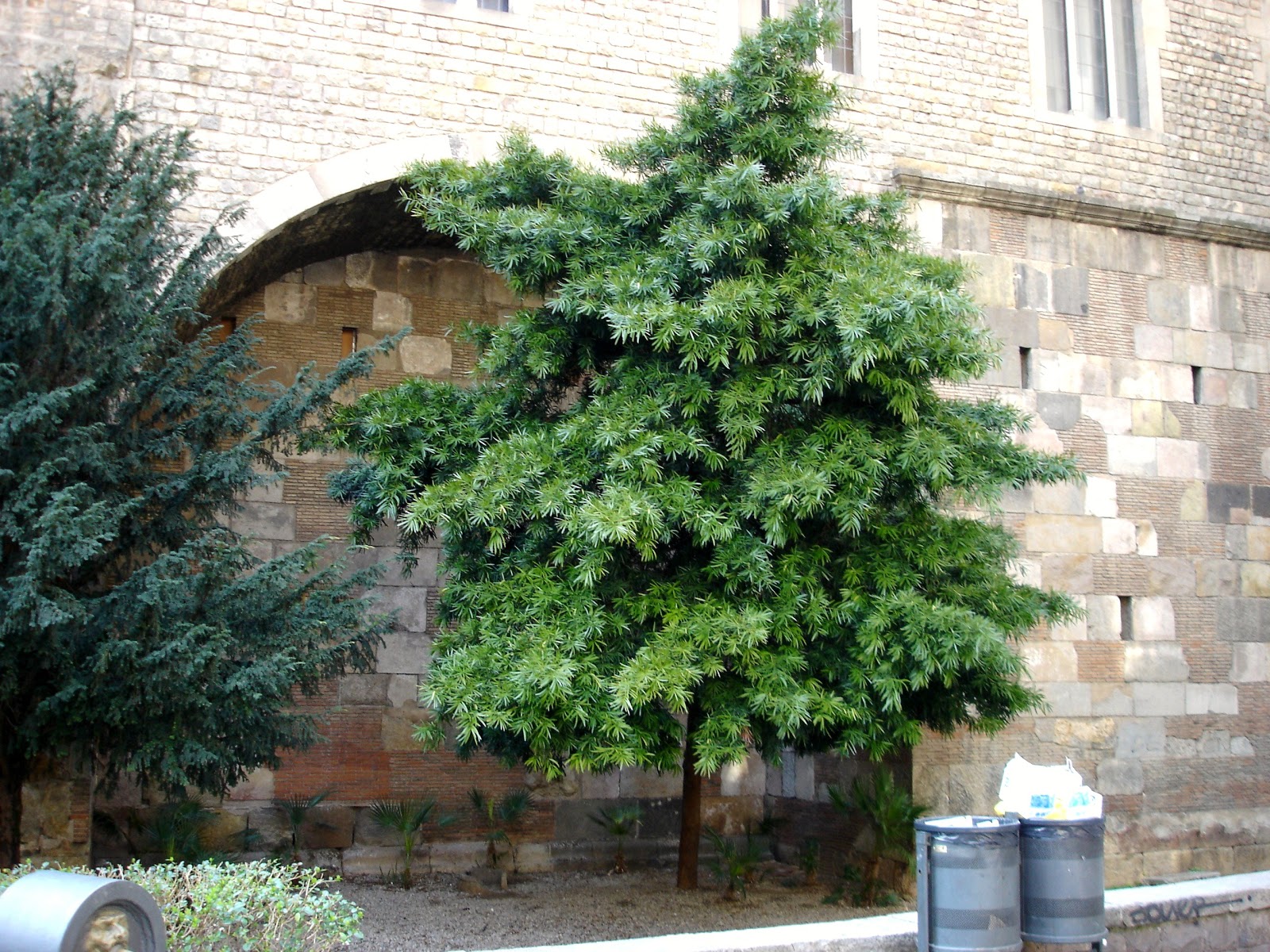 DSC00755.JPG