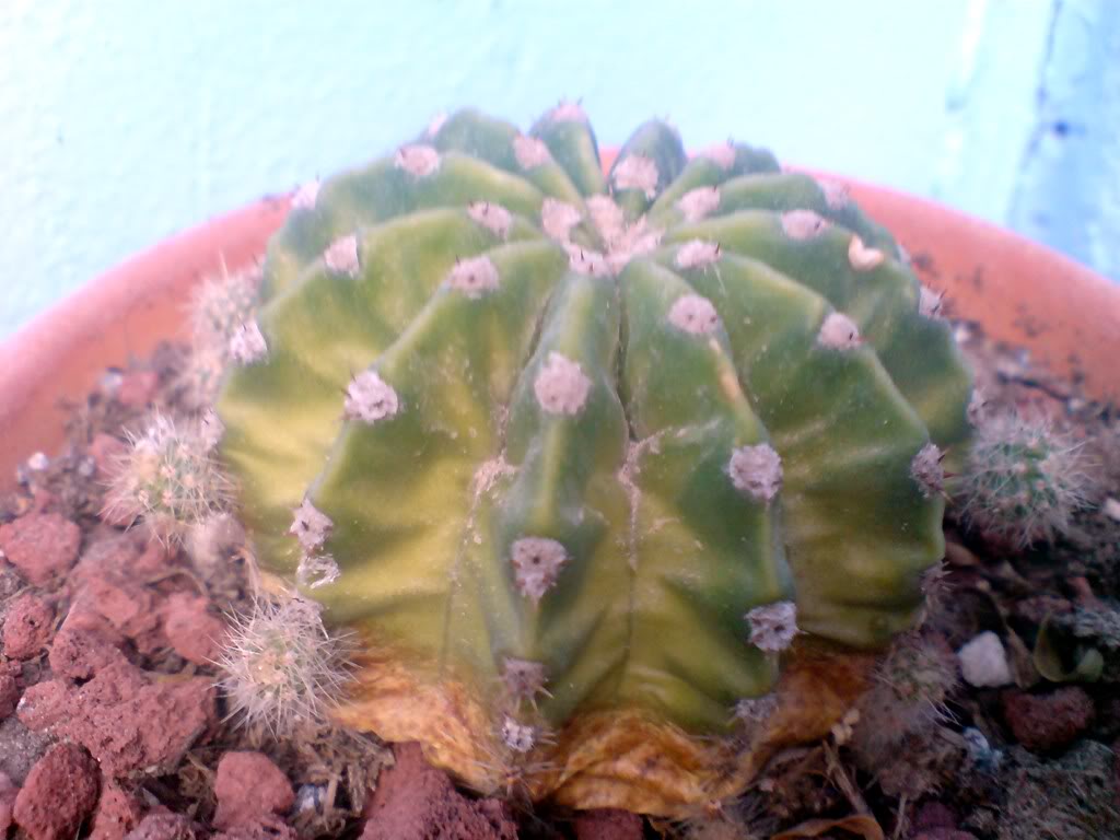 DSC00759.jpg