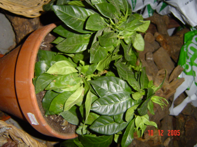 DSC00767%7E0.JPG