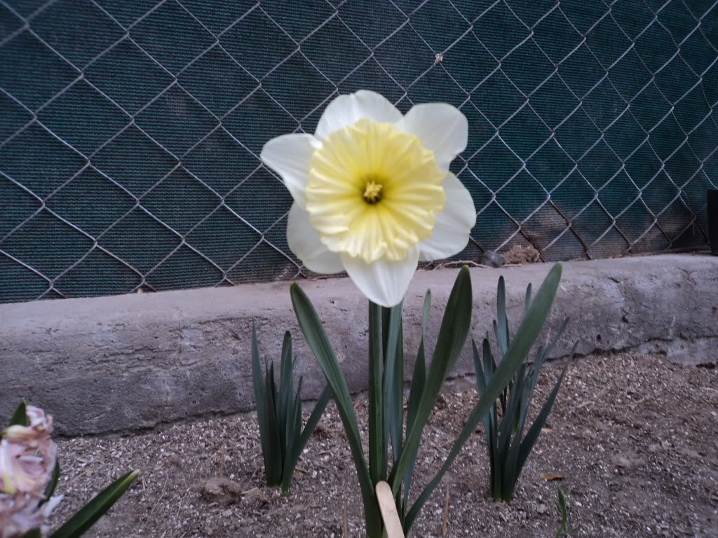 DSC00772.jpg