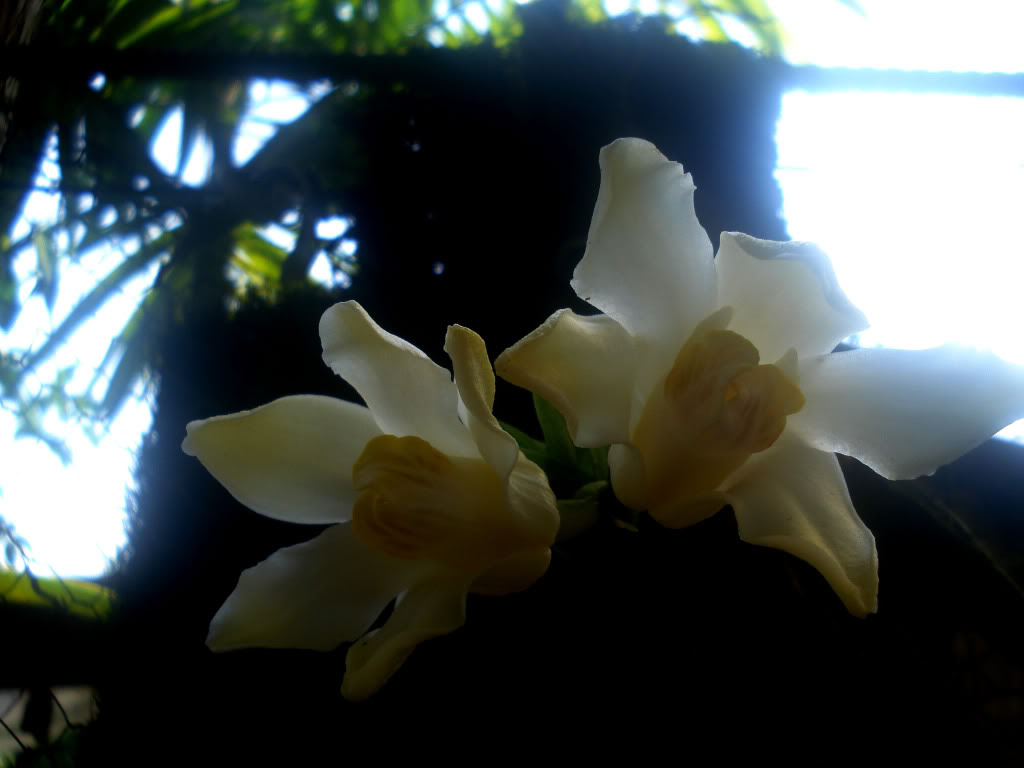 DSC00818.jpg