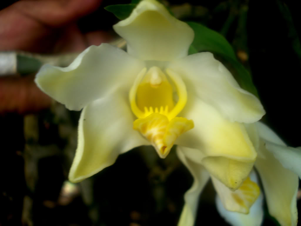 DSC00820.jpg