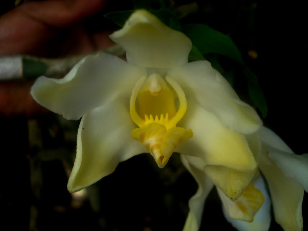 DSC00821.jpg