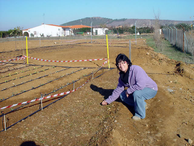 DSC00822.jpg
