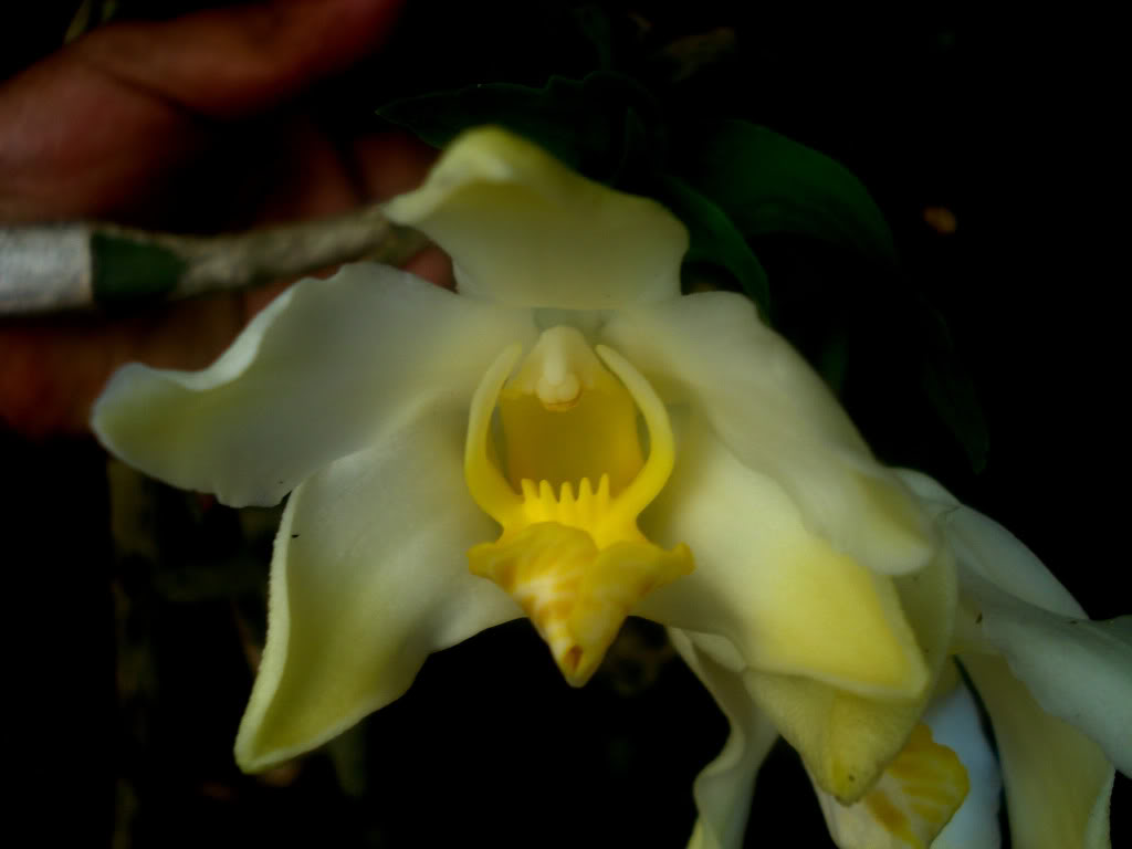 DSC00822.jpg