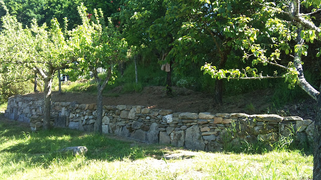 DSC00826.JPG